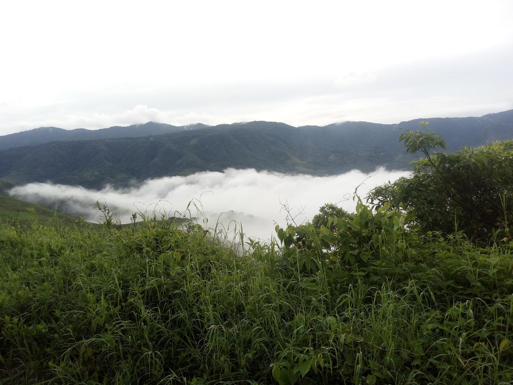 Monteverde Romantic Cottage Kültér fotó